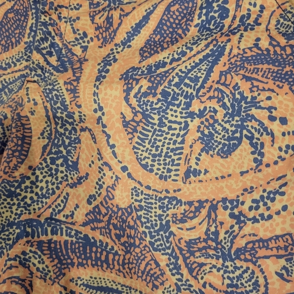 Lilly Pullitzer Jayne Stretch Shorts Paisley Design Blue & Pink Size 10 - Picture 3 of 9